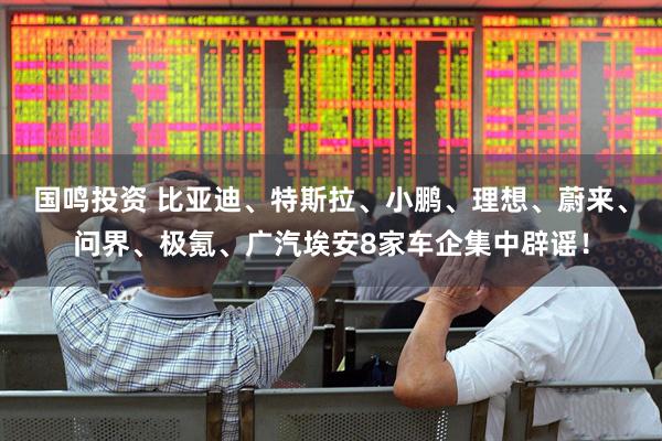 国鸣投资 比亚迪、特斯拉、小鹏、理想、蔚来、问界、极氪、广汽埃安8家车企集中辟谣！