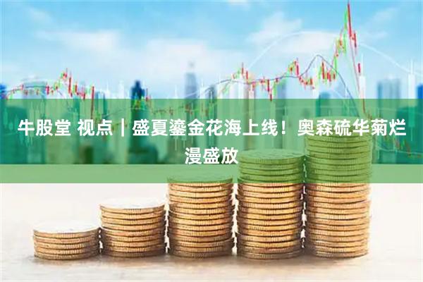 牛股堂 视点|盛夏鎏金花海上线!奥森硫华菊烂漫盛放