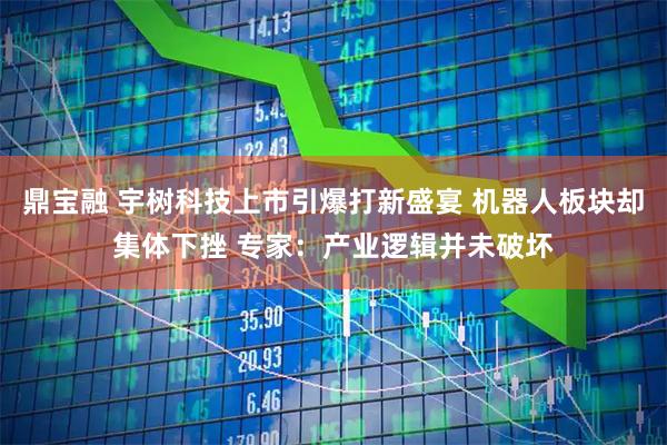 鼎宝融 宇树科技上市引爆打新盛宴 机器人板块却集体下挫 专家：产业逻辑并未破坏
