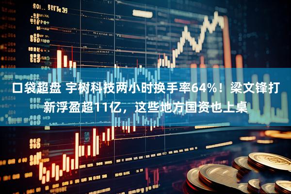 口袋超盘 宇树科技两小时换手率64%！梁文锋打新浮盈超11亿，这些地方国资也上桌